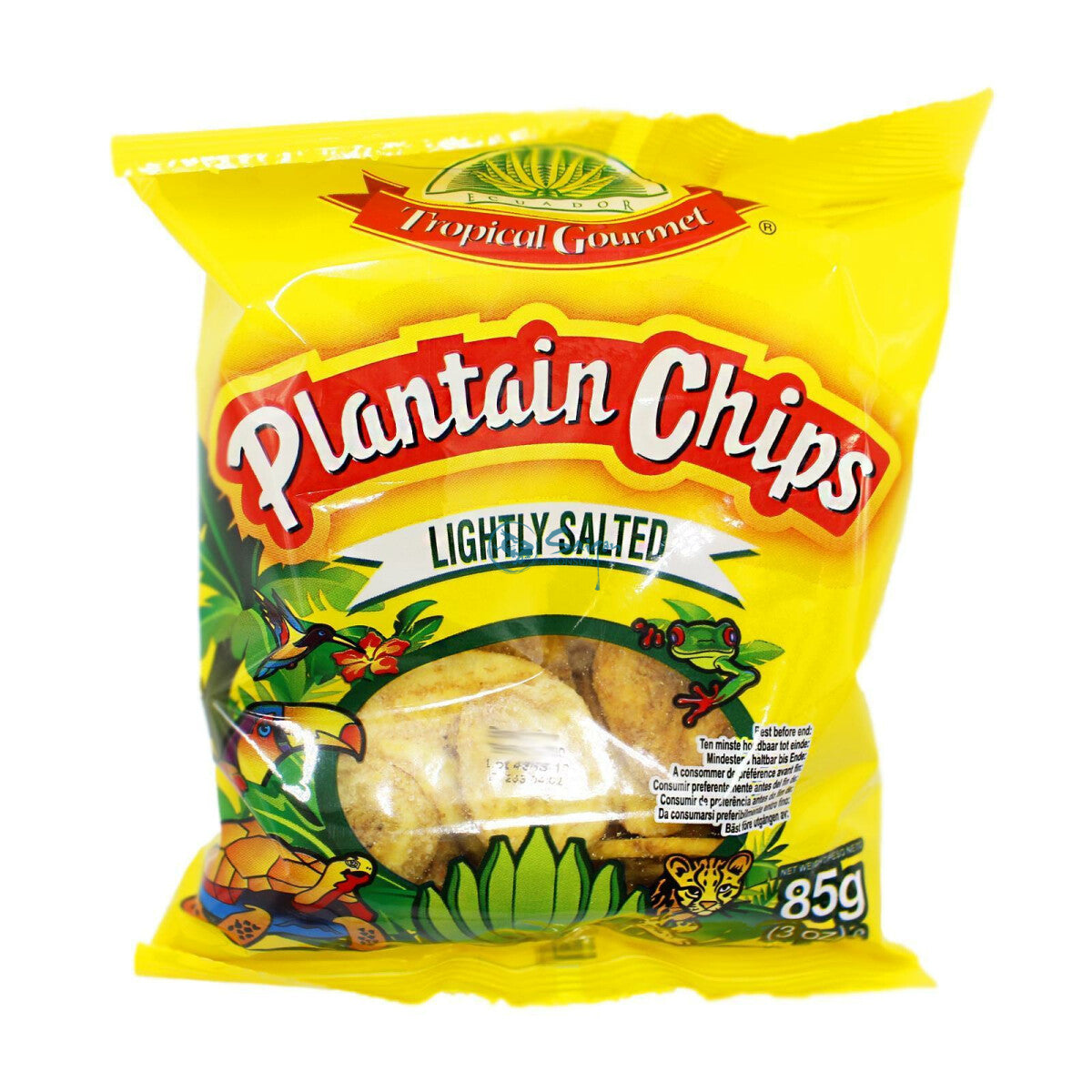 TG Plantain Chips Salted 80GR – Afro Grocery Berlin